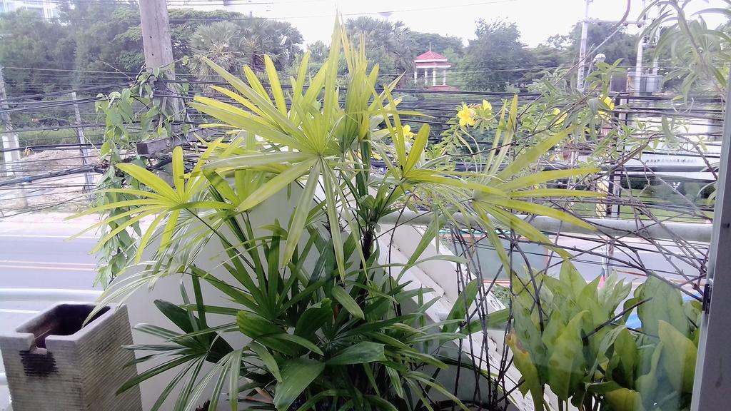 Corner Cafe Bed & Breakfast Hua Hin Luaran gambar