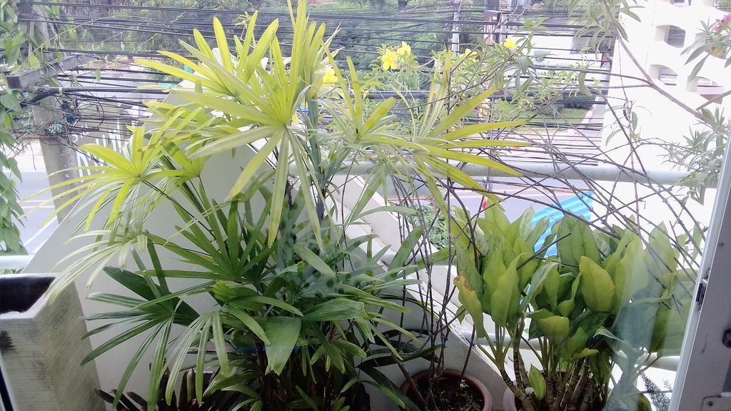 Corner Cafe Bed & Breakfast Hua Hin Luaran gambar